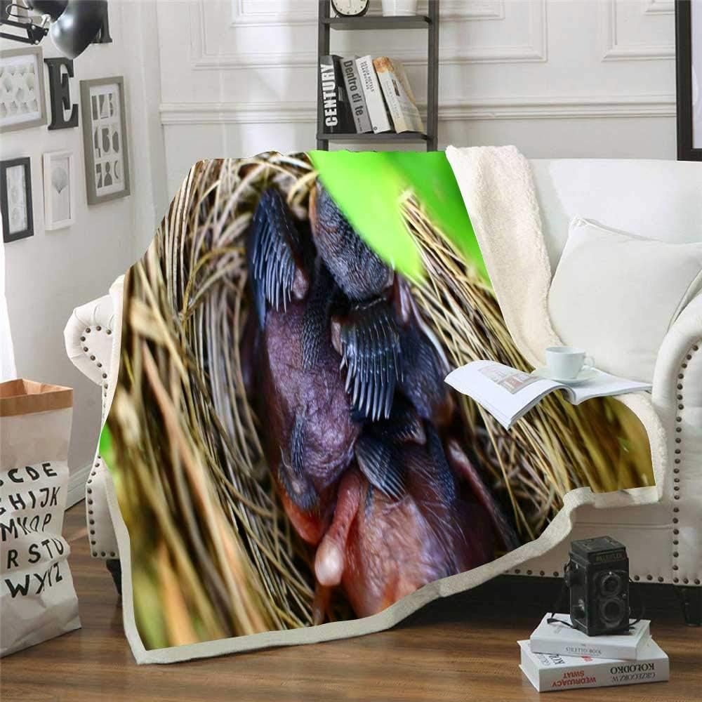 EMMTEEY Decorative Throw Blanket 60X80 Fleece Throw Blanket for Couch Sofa Newborn Bird Babies in Robin Nest Closeup Look Inside Bird Nest Newborn Baby Micro Fleece Plush Polyester Baby Kids Blanket