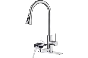 DEOLER Kitchen Faucets with Glass Rinser Single Handle High Arc Kitchen Sink Faucet with Pull Out Sprayer, 1 or 3 Hole, 360° 
