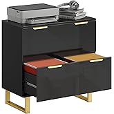 HOMCOM 2 Drawer File Cabinet, Lateral Filing Cabinet with Adjustable Hanging Rails for Letter/A4/Legal Size Files, Gold Handl