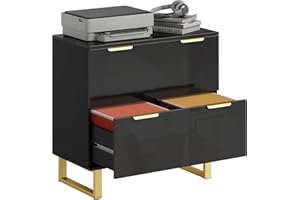 HOMCOM 2 Drawer File Cabinet, Lateral Filing Cabinet with Adjustable Hanging Rails for Letter/A4/Legal Size Files, Gold Handl