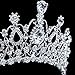 Hicarer Queen Crown Princess Tiara Wedding Bridal Crown Women and Girls Crystal Headbands with Comb, Princess Prom Birthday Party Hair Accessories, Silver