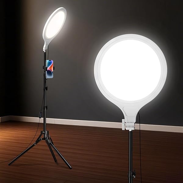 Ring Light Tripod for iPhone, 10" Circle LED Ring Light with Stand for Photography Video Recording, 3 Color Modes, Adjustable Height for Live Streaming, Content Creation, TikTok, YouTube