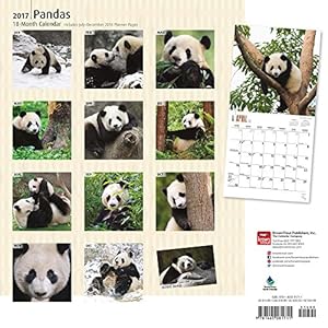 Pandas 2017 Square (English, French and Spanish Edition)