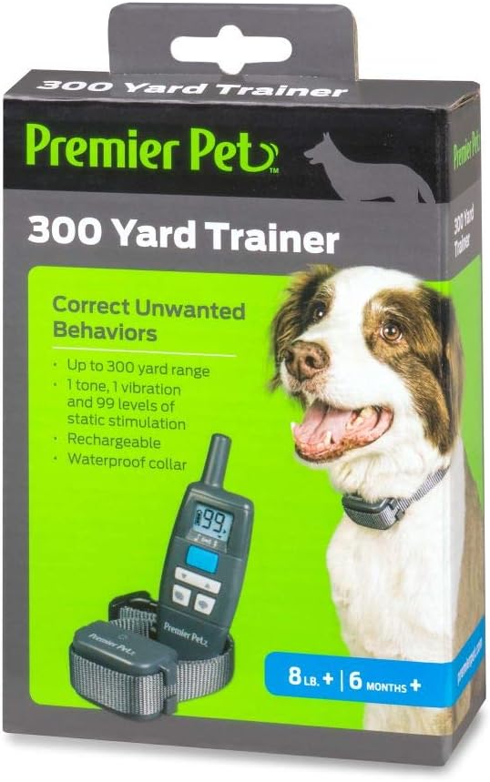 dog 1st birthday hat