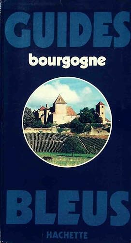 Download Guide bleu Bourgogne (Les Guides bleus) (French Edition) PDF