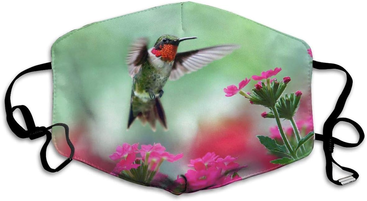 Macarons Unisex Face Mouth, Washable Reusable Anti Dust Face for Cycling Camping Travel - Protection from Dust, Pollen, Pet Dander, Other Airborne Irritants