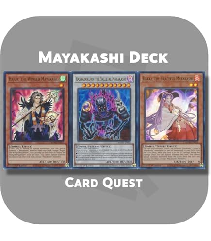 Amazon.com: Complete Custom Deck for Yu-Gi-Oh!