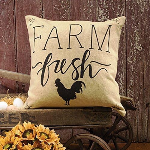 HoldShop Farm Fresh Throw Pillow Case Cushion Home Sofa Decorative 18 X 18 Inch