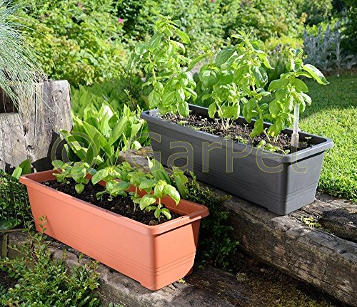 Plastia Blumenkasten Bergamot Balkonkasten 60 cm anthrazit – Bild 3