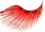 Stargazer Feather Eye Lashes Style 66 Synthetic False Lashes with Glue view 2