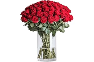 GlobalRose Fresh Cut Red Roses - 50 (2 Bundles of 25) - Real Fresh Flowers Bouquet for Mother's Day, Birthday, Anniversary, Bridal Shower, or Home Decor - Flowers Delivery Gift