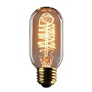 Vintage Edison Bulbs, Rolay 25 Watt T45 Edison Style Square Spiral Filament Incandescent Light Bulb, 1 Pack