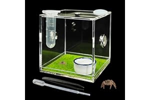 GKPONSX Acrylic Jumping Spider Enclosure, Spider Terrarium Accessories with Bowls Tongs Dropper for Snail Tarantula Scorpion Praying Mantis Isopods Insects