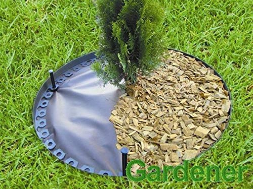 Gardener - Rollo de Papel de Lija para jardín (3, 8 x 10 m), Color ...