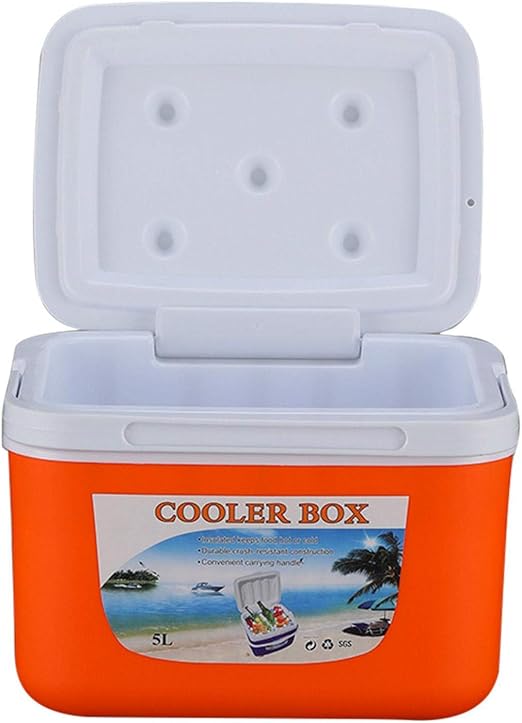 cold box for car