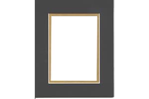 16x20 Black & Gold Double Picture Mat Bevel Cut for 11x14 Pictures