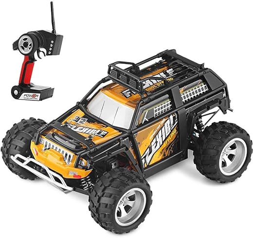 professional rc cars