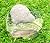 Kiwibird Newzealand 3d New Fridge Magnet Landmark Souvenir Ceramic Resin Gift