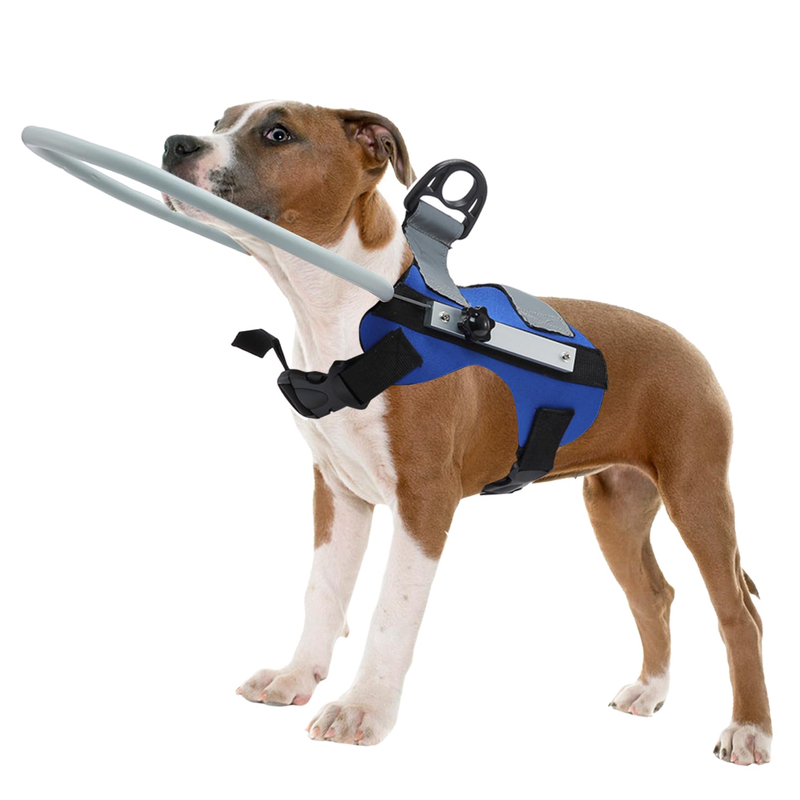 Photo 1 of Fhiny Blind Dog Harness - Guiding Device with Anti-Collision Ring, Bumper & Confidence Collar Vest for Blind Dogs - Blue (S:8.7" Dia)