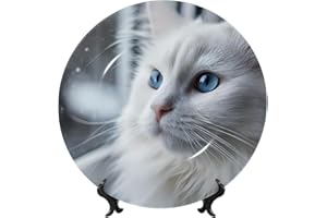ZYQCCJ Cute White Cat Bone China Decorative Plate Print, For Wall Or Table Display, Includes Stand, Hook – Decorative Tray Fo