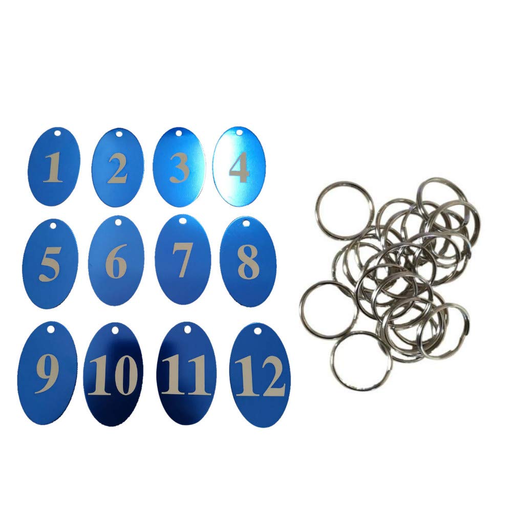 Sourcemall Aluminum Alloy Numbered Tags with Key Ring (Blue, 1-100)