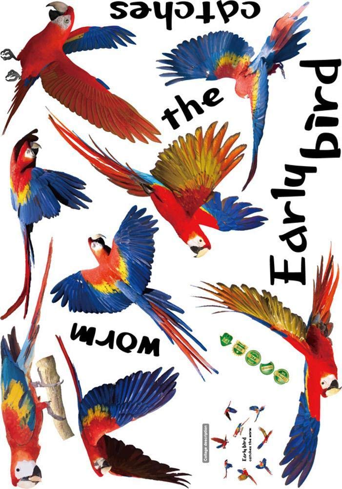 Gleecare Pegatina de pared,Etiqueta de pared decorativos de fondo ...