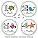 Beansley's Baby Monthly Milestone Stickers - (Set of 20) - 12, 4