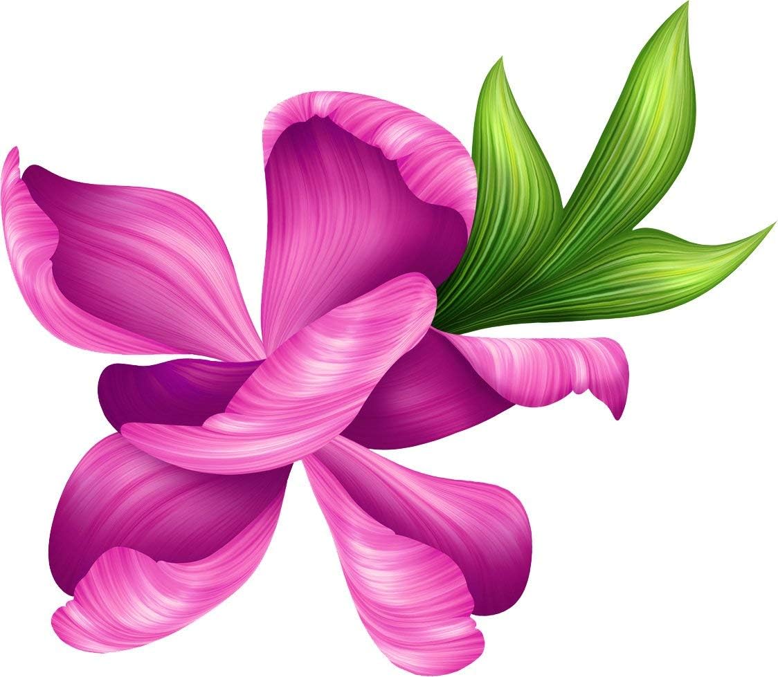 Magnet Beautiful Tropical Realistic Purple Pink Flower Boutonniere Art Cartoon Vinyl Magnet (2" Wide, Orchid Flower)