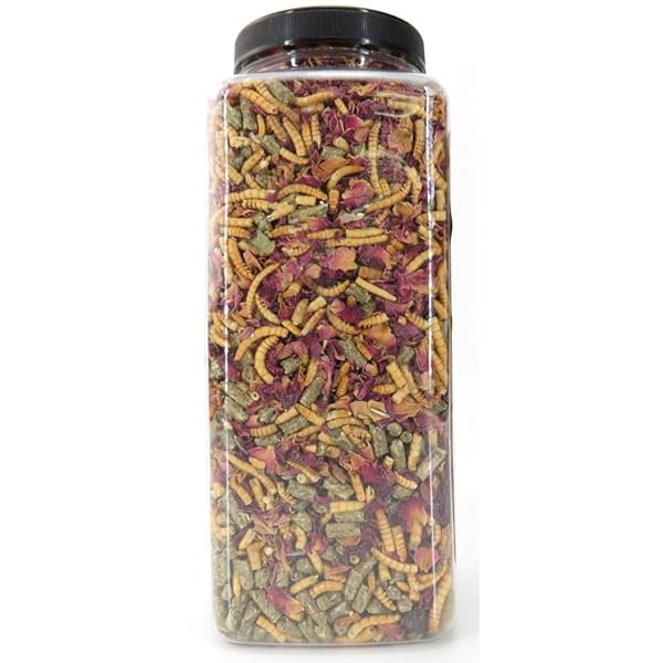 ZOO MED GOURMET BEARDED DRAGON FOOD 15 OZ – PACK OF 3