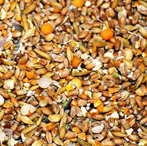 25kg Mecklenburger Landkörnerfutter II - ohne Sonnenblumenkerne