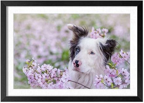 Amazon Co Jp 木製の枠 ズックの印刷する絵画 家の壁の装飾画 ポスター 35x50cm 青い目の犬 ピンクの花 ホーム キッチン