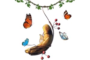 Q-QINGDIAN Butterfly Feeders Butterfly Hummingbird Feeder for Outdoor,Mini Hanging Butterfly Banana Feeder, Copper Vine Sturdy Banana Holder, Attract Butterflies, Bees and Birds to Your Garden (1)