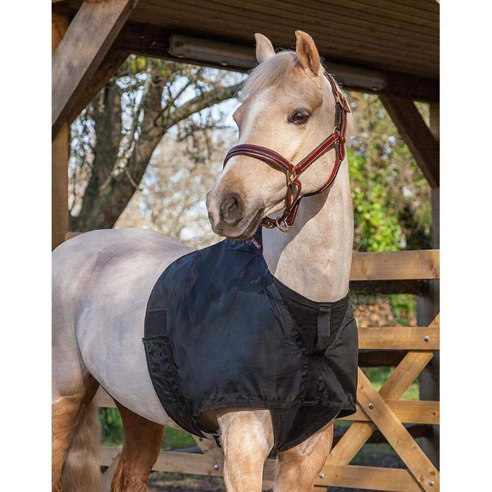 LeMieux Anti Rub Bib in Black with Elastic Belly Straps - Horse Wither Protection - Perfect Fit Chest Guard - XXL