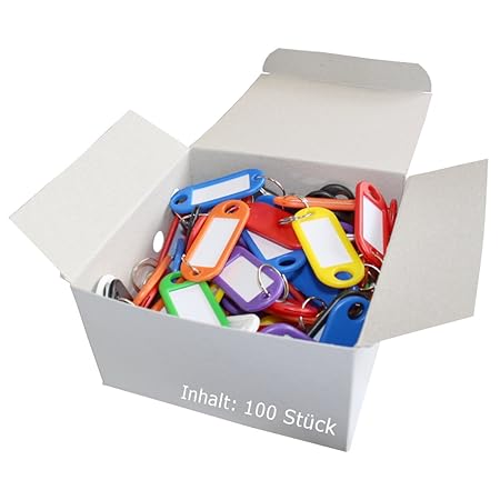 Wedo 262801899 Schlüsselanhänger Kunststoff (mit Ring, auswechselbare Etiketten) 100 Stück, farbig sortiert