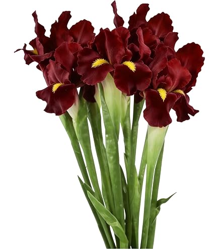 Amazon.com: Angel Isabella Pack of 6-Real Touch 18" Bearded Iris Artificial  Flowers for Decoration Centerpiece Arrangements (Blue) : Home & Kitchen