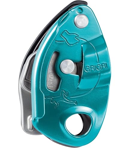 【美品】DIETZ EUREKA ベイル付き　エウレカ　ユーリカ　ユリイカ Effie Calavaza Snake Design Sterling Silver Turquoise Earrings 37543