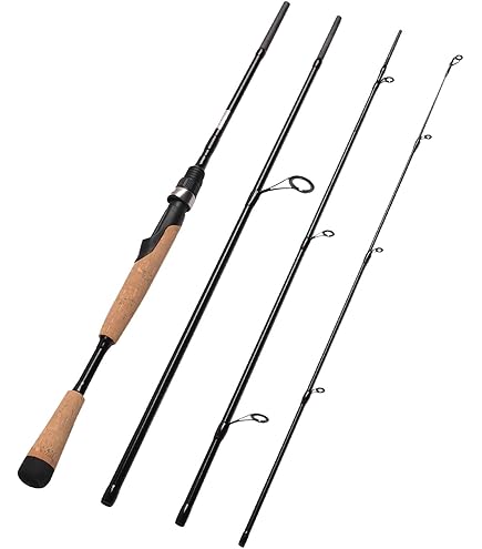 Amazon.com : Fiblink 4 Pieces Travel Casting Rod Graphite Baitcasting  Fishing Rod Portable Fishing Rod Baitcaster (6'6'' Medium) : Sports &  Outdoors