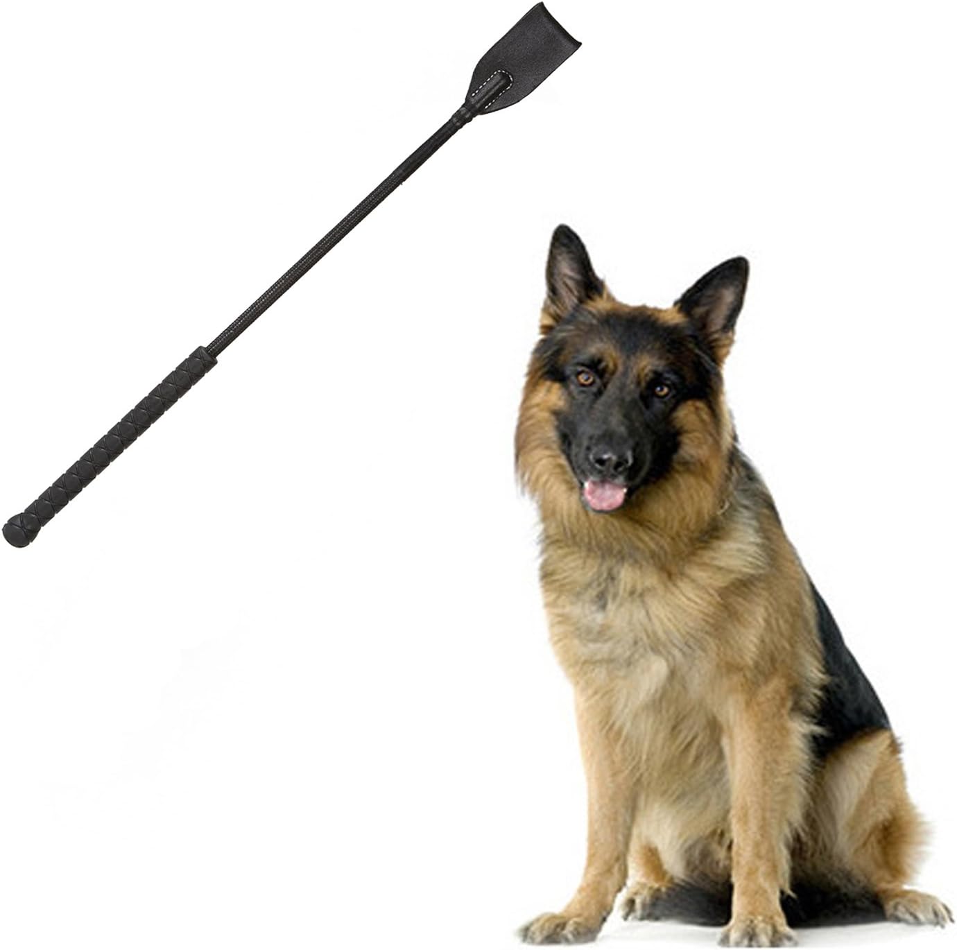 Yakin shop Horse Riding Crops Jump Bat Equestrianism Whips Pet Training: Sports & Outdoors
