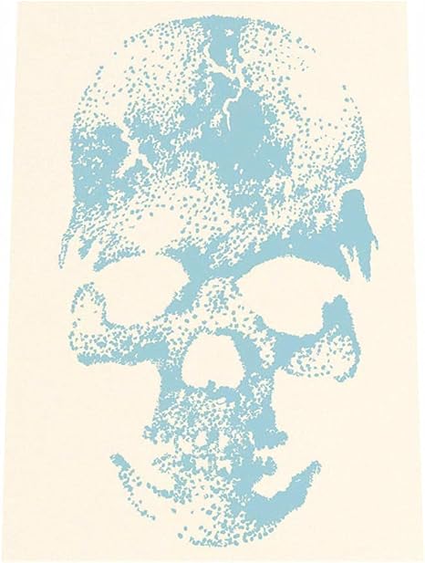 Amazon Co Jp Fashion Poster ファッションポスター B0 約100cm 145cm ポスター ナチュラル ポスターのみ オシャレ ファッションポスター フォト おしゃれ キリスト 骸骨 ガイコツ スカル 骨 教会 十字架 英語 筆記体 水色 シンプル 写真 ブラック ホワイト Pbg