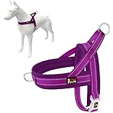 Plutus Pet No Pull Dog Harness with Breathable Mesh Padded, Adjustable Reflective Escape Proof Dog Harness, Quick Fit Dog Vest Harness for Small Medium Large Dogs(M, Purple)