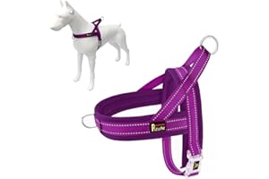 Plutus Pet No Pull Dog Harness with Breathable Mesh Padded, Adjustable Reflective Escape Proof Dog Harness, Quick Fit Dog Vest Harness for Small Medium Large Dogs(M, Purple)