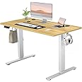 SMUG Standing Desk, Adjustable Height Electric Sit Stand Up Down Computer Table, 48x24 Inch Ergonomic Rising Modern Lift Motorized Gaming Desktop Workstation for Work Home Office, Natural