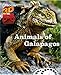 Animals of Galapagos - Classic ViewMaster - 2 Reel Set - NEW
