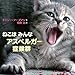 ねこは みんな アスペルガー症候群