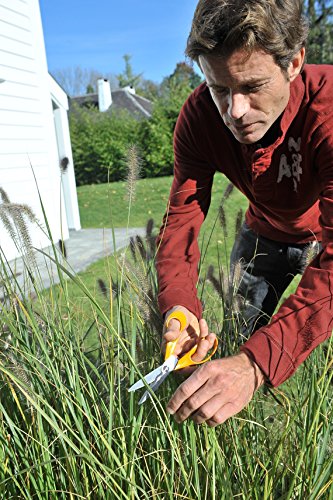 Garden Scissors With Serrated Edge