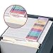 Smead Viewables Labeling System, Starter Kit, Hanging Folder Labels, Ink-Jet and Laser Printers (64902)