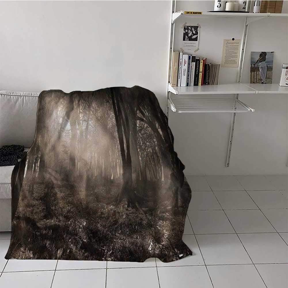 Lightweight Soft Blanket Photo of Forest Scenery with Sunbeams and Fog Vintage Nostalgic Colors Gothic Fantasy Art Sherpa Reversible Throw for Picnic, Beach, Traveling, Camping Brown (60 x 80 Inches)