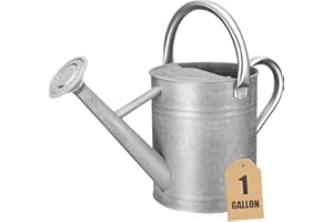 CHERHOME Watering Can for Outdoor Plants&Indoor Plants,Plant Watering Can 1 Gallon,Metal Flower Garden Watering Can Water Can Watering Pot,Galvanized Steel Watering Can Outdoor (Silver)
