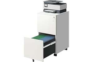 DEVAISE 2-Drawer Rolling File Cabinet with Lock, Metal Filing Cabinet for Home Office, Fully Assembled Under Desk, White