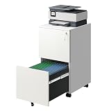 DEVAISE 2-Drawer Rolling File Cabinet with Lock, Metal Filing Cabinet for Home Office, Fully Assembled Under Desk, White, 17" D x 15" W x 27" H